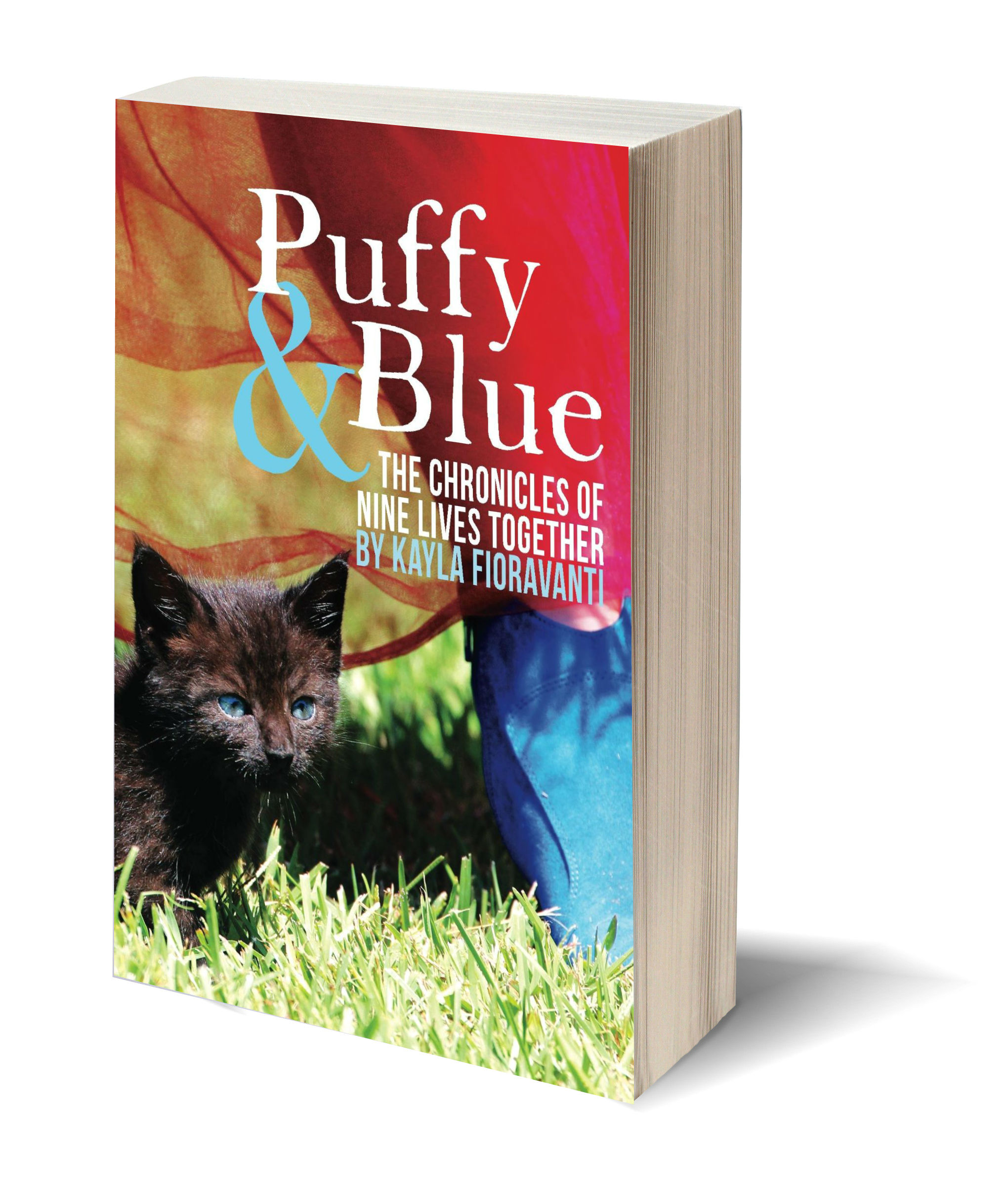 Puffy and Blue 3D-Book